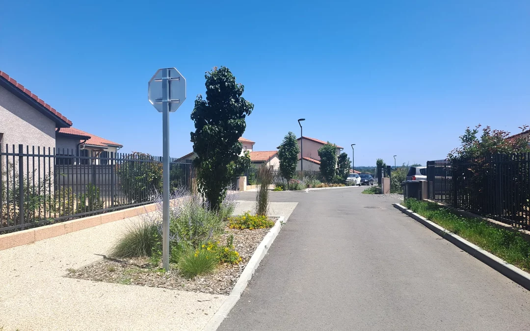Terrain à vendre à Saint-Symphorien-d’Ancelles – Clos des Poiriers